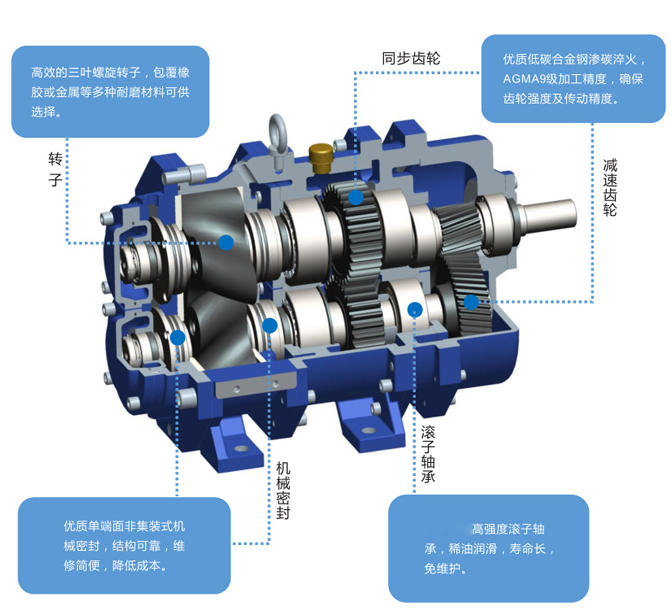 NZB旋轉式凸輪轉子泵結構圖