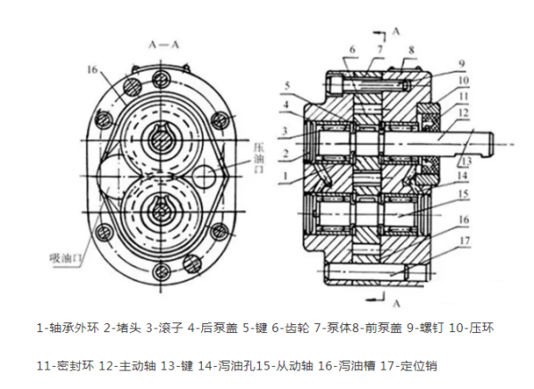 齒輪泵的結構圖